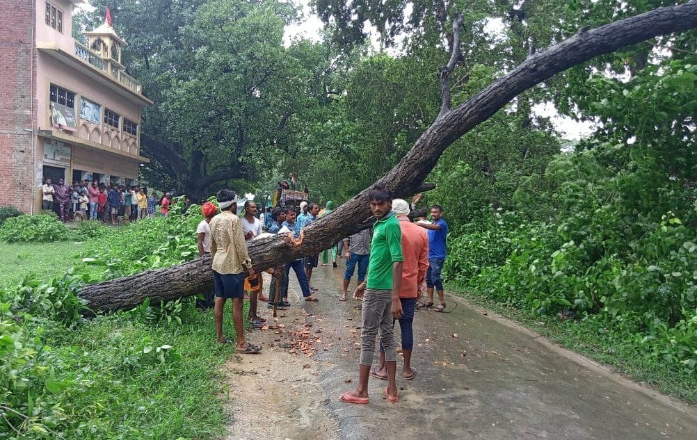 गडवारा के धरमपुर रोड पर बारिश व तेज हवा से गिरे पेड़ को हटाते ग्रामीण। संवाद गडवारा के धरमपुर रोड पर बारिश व तेज हवा से गिरे पेड़ को हटाते ग्रामीण। संवाद