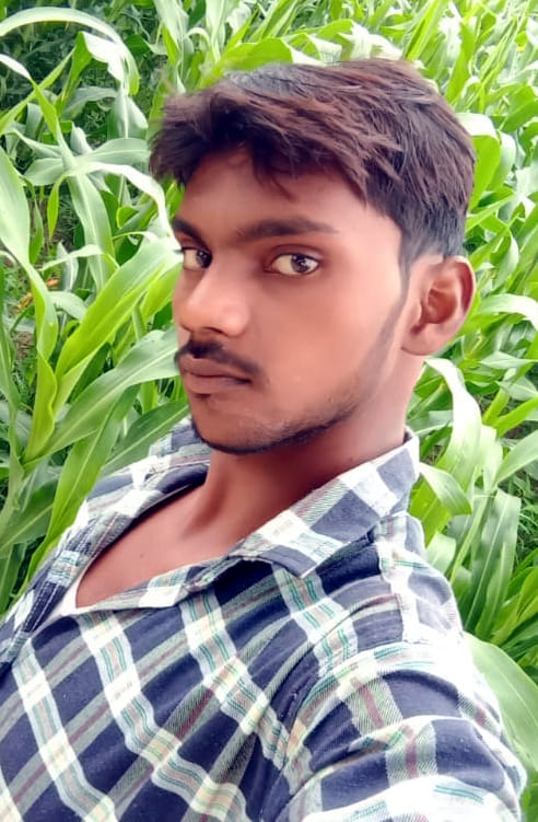 Dead body found landing between bushes near Udharanpur bridge Dead body found landing between bushes near Udharanpur bridge