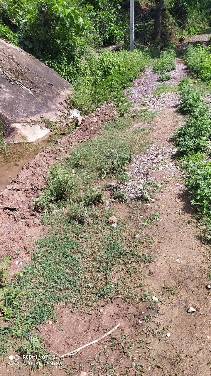 वार्ड 2 को कस्बे से जोड़ने वाली खस्ताहाल सड़क, संवाद। वार्ड 2 को कस्बे से जोड़ने वाली खस्ताहाल सड़क, संवाद।