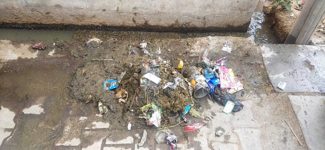 नालियों से निकला गया गोबर। नालियों से निकला गया गोबर।