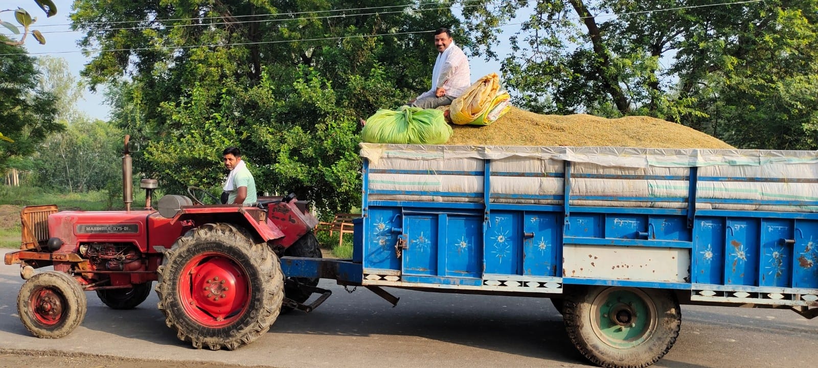 चौसाना में साठी धान को मंडी में ले जाते किसान चौसाना में साठी धान को मंडी में ले जाते किसान