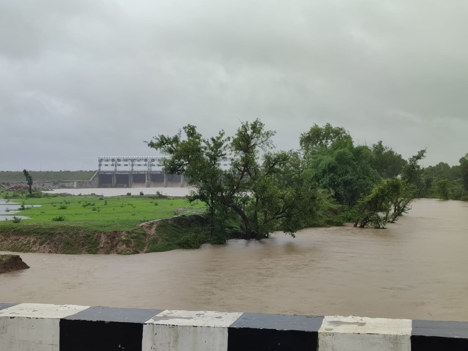 कचनौदा बांध से निकली नदी में बहता पानी