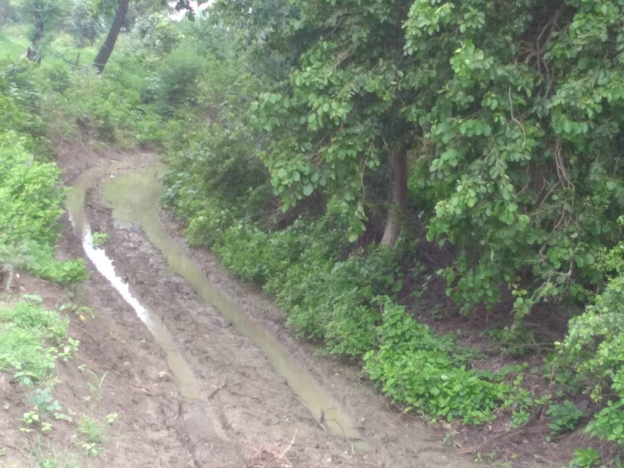 दलदल में तब्दील गदोरा-बमराना संपर्क मार्ग दलदल में तब्दील गदोरा-बमराना संपर्क मार्ग