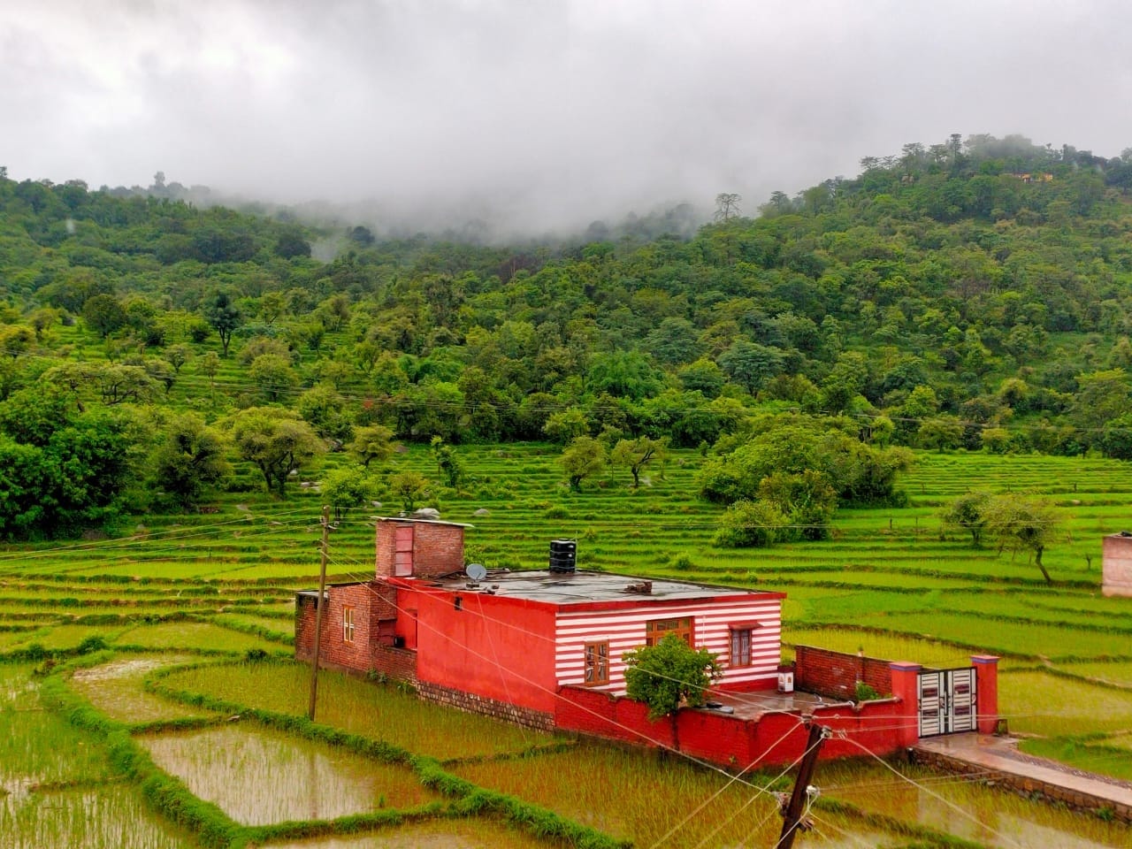 बारिश के बाद अपनी हरियाली से आकर्षित करता बिलावर का ग्रामीण परिवेश, संवाद। बारिश के बाद अपनी हरियाली से आकर्षित करता बिलावर का ग्रामीण परिवेश, संवाद।