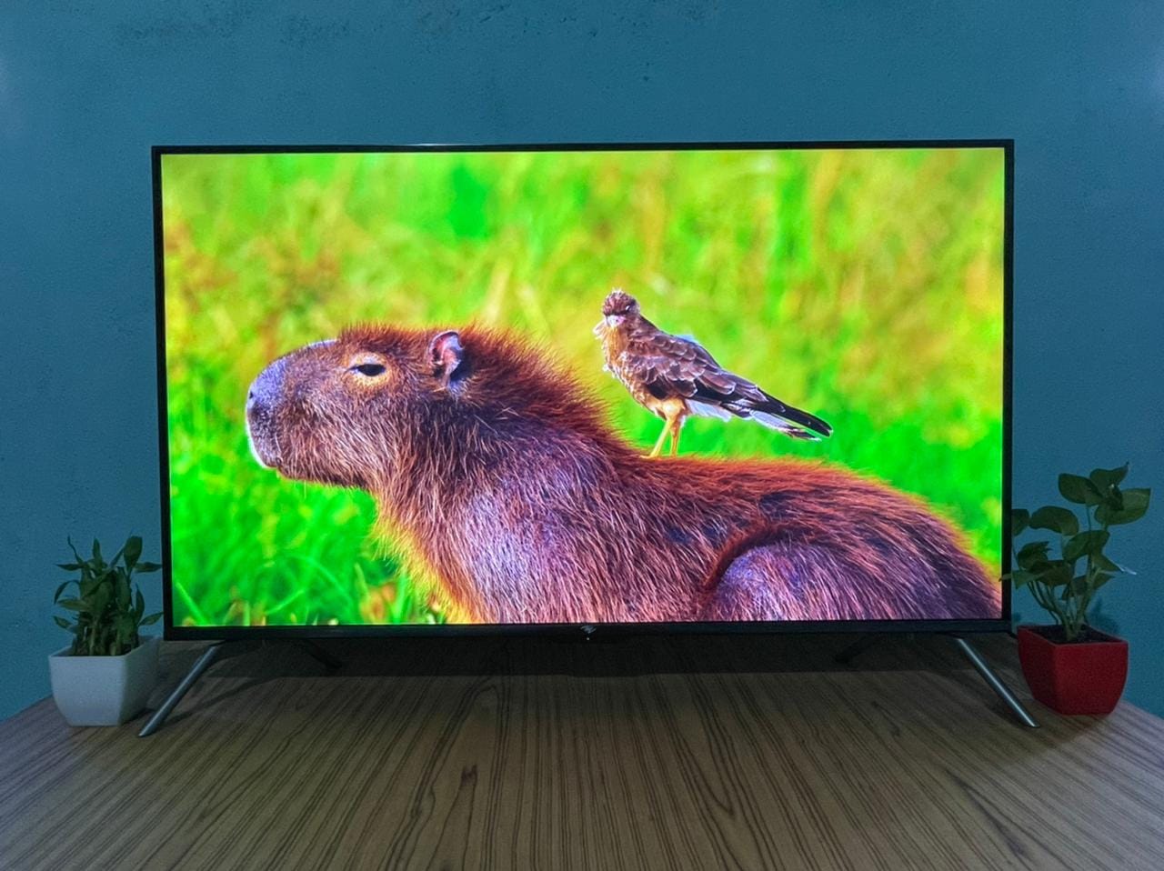 itel G4334IE 4K Android TV: 30999 रुपये में क्या पैसा वसूल है 43 इंच का यह एंड्रॉयड स्मार्ट टीवी?