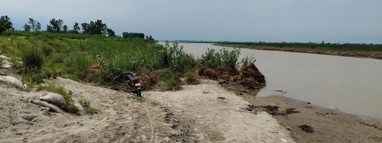 चौसाना क्षेत्र के गांव साल्हापुर में युमना नदी का होता कटान चौसाना क्षेत्र के गांव साल्हापुर में युमना नदी का होता कटान