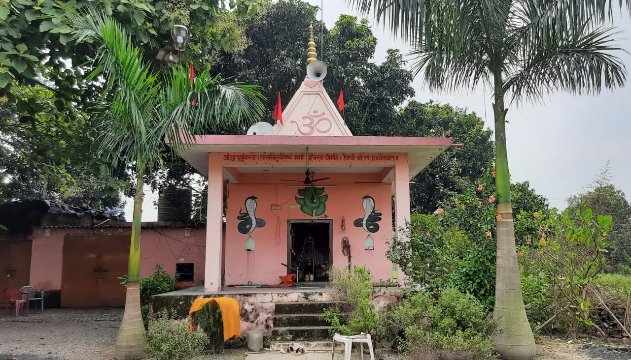 अफजलगढ़ में चीनी मिल के पास एक खेत में बना नाग देवता का मंदिर।