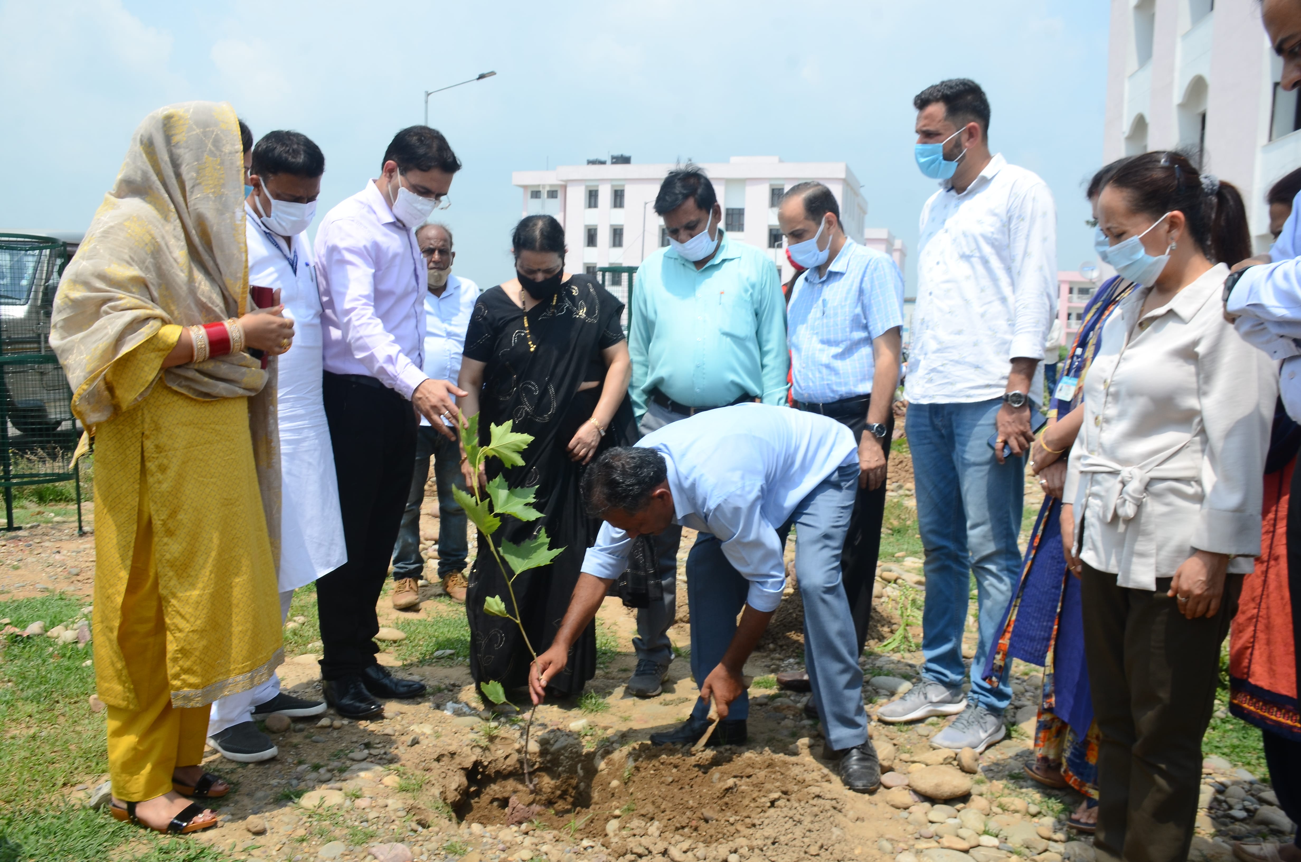 जीएमसी कठुआ में पौधरोपण करती प्रधानाचार्य अंजलि नादिर भट्ट व अन्य, संवाद।