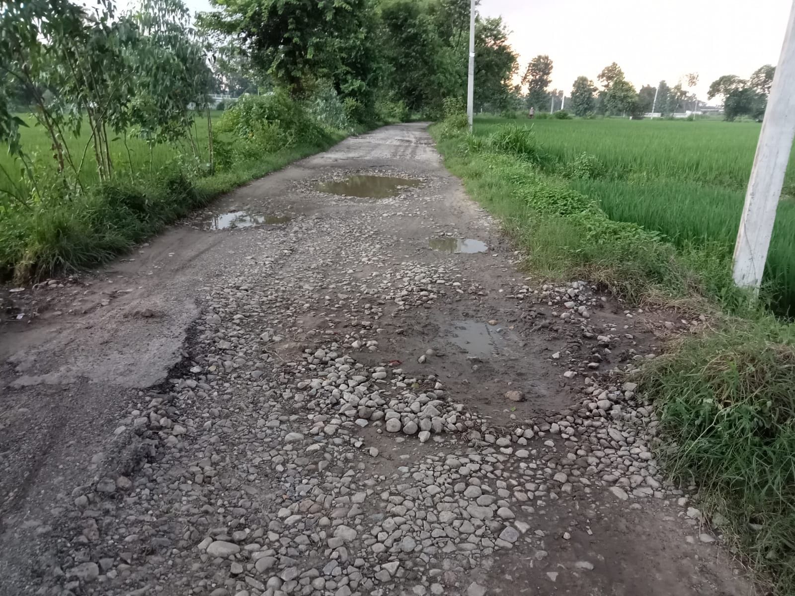 खटीमा में स्वतंत्रता सेनानी करतार सिंह गिल के घर को जाना वाला रास्ता। खटीमा में स्वतंत्रता सेनानी करतार सिंह गिल के घर को जाना वाला रास्ता।