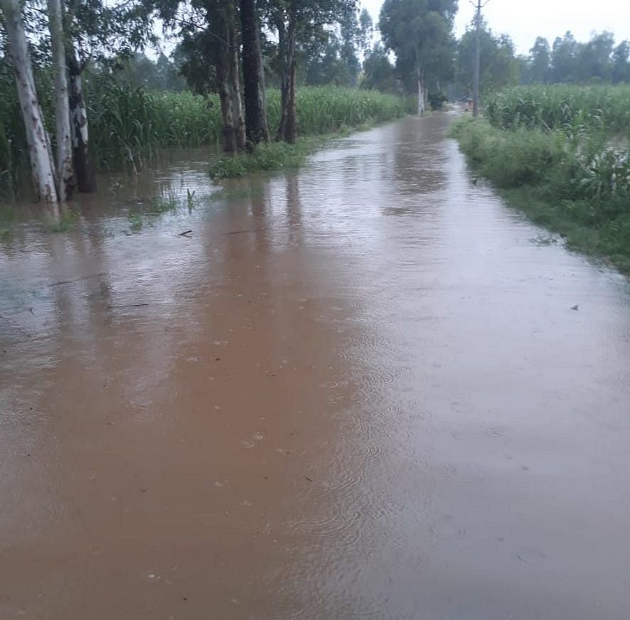 मंडावली के गांव शेखुपुरा आलम-लाहककला संपर्क मार्ग पर जलभराव।