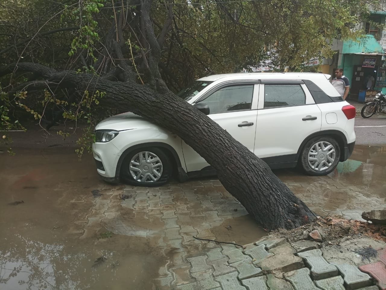  कोर्ट कॉम्प्लेक्स में खड़ी वकील की गाड़ी पर गिरा पेड़। संवाद