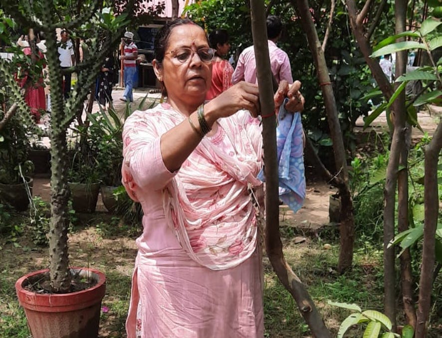 नजीबाबाद में वृक्ष बंधन अभियान में वृक्ष को धागा बांधती महिला। नजीबाबाद में वृक्ष बंधन अभियान में वृक्ष को धागा बांधती महिला।