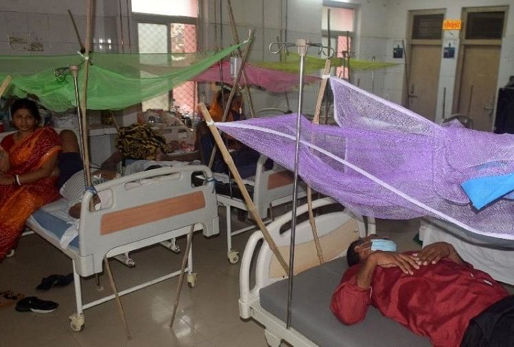 Dengue In Varanasi Ward Full In Hospitals, Rush For Platelets In Blood  Banks - वाराणसी में डेंगू का कहर: अस्पतालों में वार्ड फुल, ब्लड बैंक में  प्लेटलेट्स के लिए उमड़ रही भीड़ -