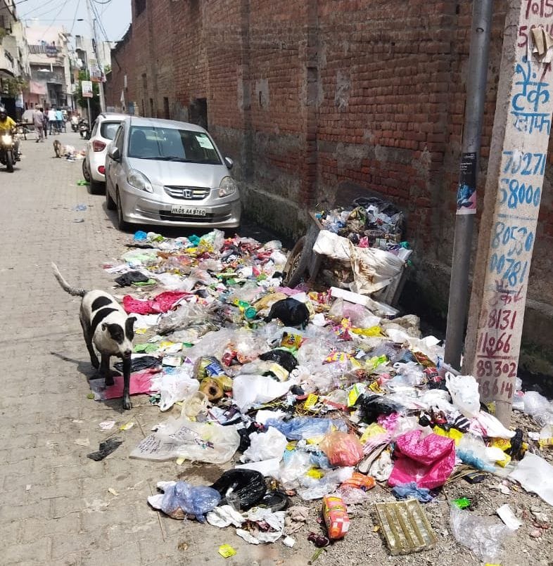 पानीपत। वार्ड नंबर-4 स्थित अशोक नगर में लगे हुए कुड़े के ढेर।