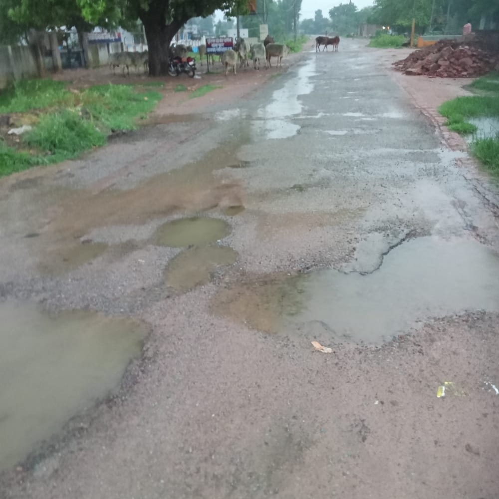 ग्राम बरौदा डांग से सम्पर्क मार्ग में गहरे गडडो से लोग परेसान ग्राम बरौदा डांग से सम्पर्क मार्ग में गहरे गडडो से लोग परेसान