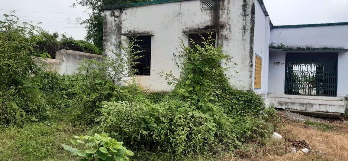 परिसर में खड़ी झाड़ियां