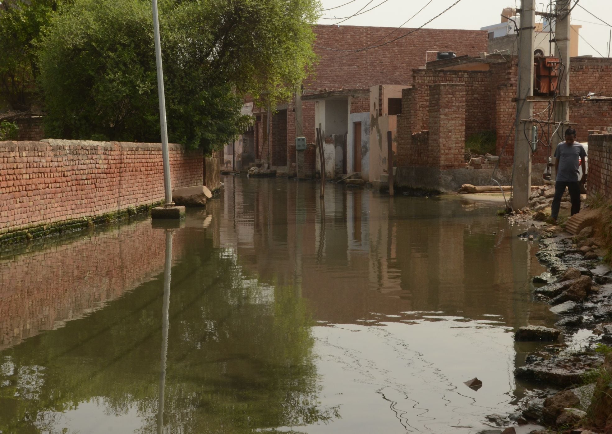  वार्ड 14 रविदास नगर में सड़क पर भरा दूषित पानी ।