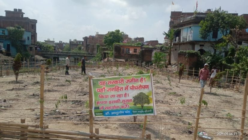 कल्याणी नदी के किनारे मिनी फॉरेस्ट के लिए किया गया पौधरोपण।