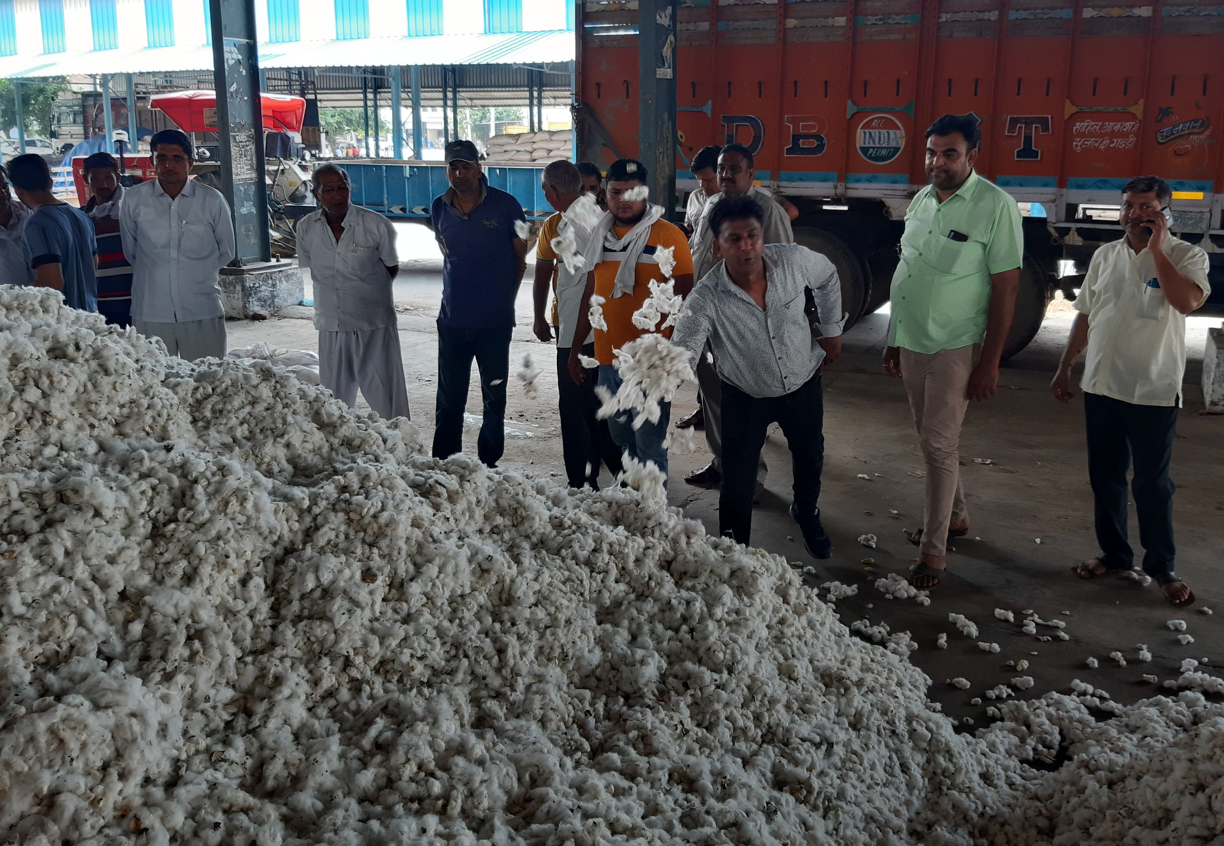नई अनाज मंडी में कपास की बोली लगाते आढ़ती। संवाद नई अनाज मंडी में कपास की बोली लगाते आढ़ती। संवाद
