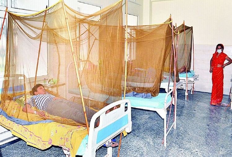 आगरा: जिला अस्पताल के डेंगू वार्ड में भर्ती मरीज
