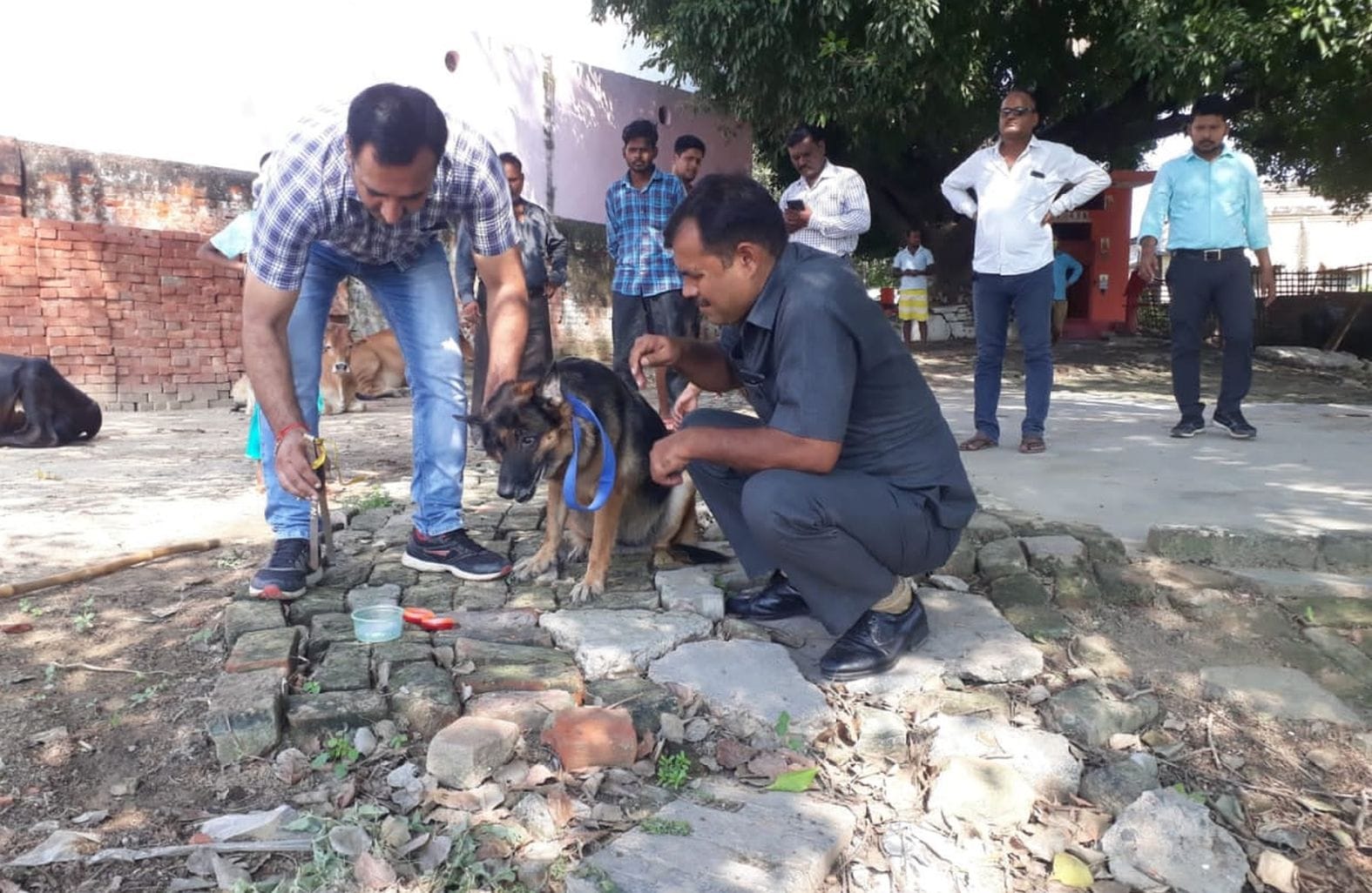 फतेहगढ़ के मोहल्ला नगला नैन में चोरी के बाद छानबीन करता डॉग स्क्वायड। संवाद फतेहगढ़ के मोहल्ला नगला नैन में चोरी के बाद छानबीन करता डॉग स्क्वायड। संवाद