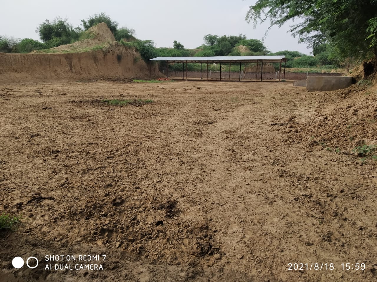 अनेठा गांव की खाली पड़ी गौशाला
