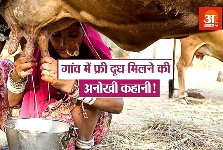Kisah menarik pembagian susu gratis di desa