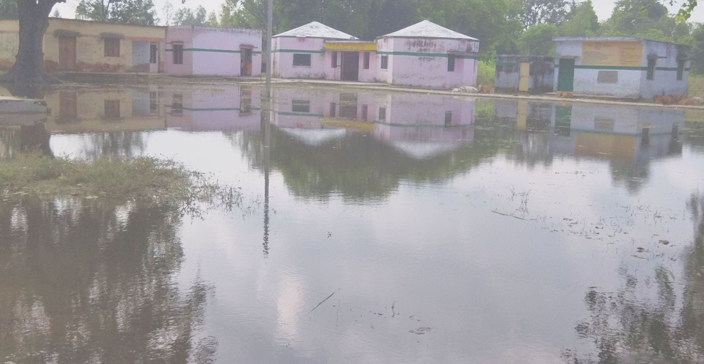 16 : शाहगढ़ : गरथोलिया के प्राथमिक स्कूल प्रांगण में हुआ जलभराव। -संवाद 16 : शाहगढ़ : गरथोलिया के प्राथमिक स्कूल प्रांगण में हुआ जलभराव। -संवाद