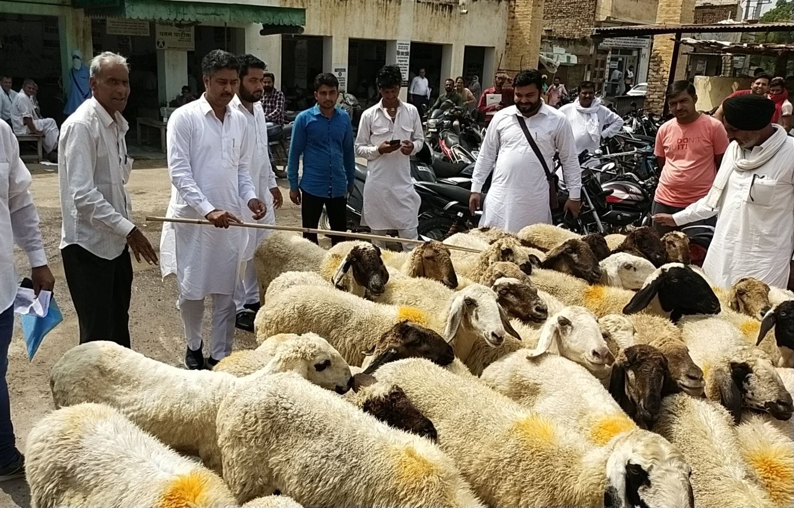 नगर परिषद कार्यालय में भेड़ लेकर पहुंचे जिलाध्यक्ष आदित्य देवीलाल चौटाला 
