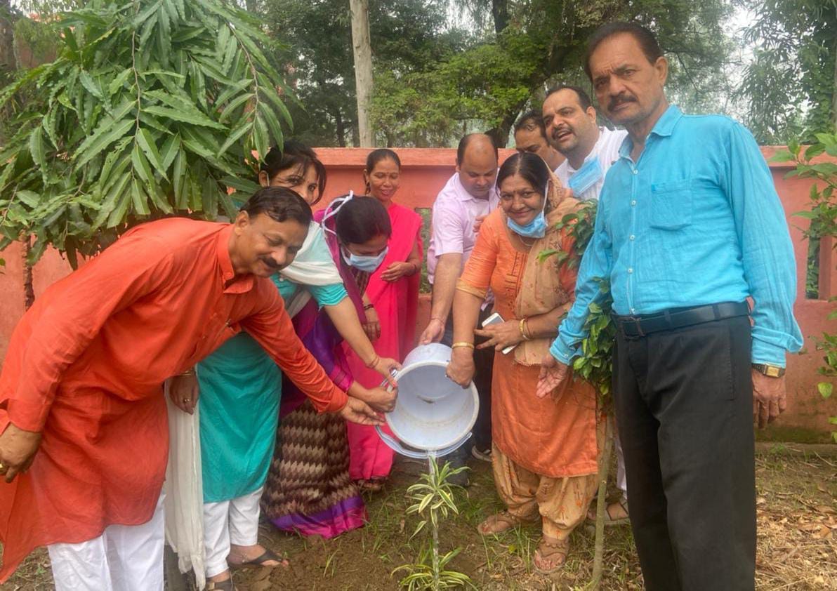 नागल में पौधा रोपण करते भाजपाई नागल में पौधा रोपण करते भाजपाई