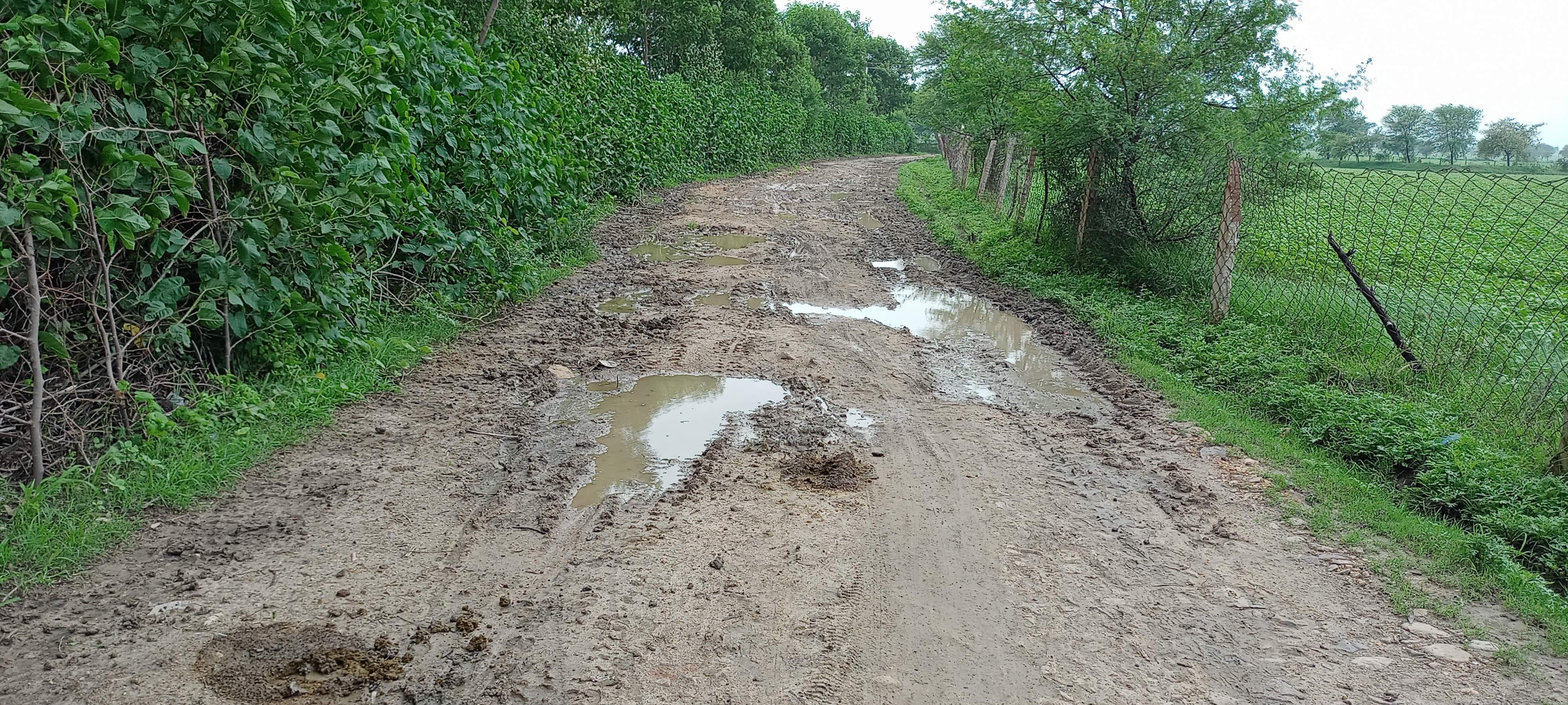 जखौरा गांव को महरौनी से जोड़ने वाले संपर्क मार्ग की हालत