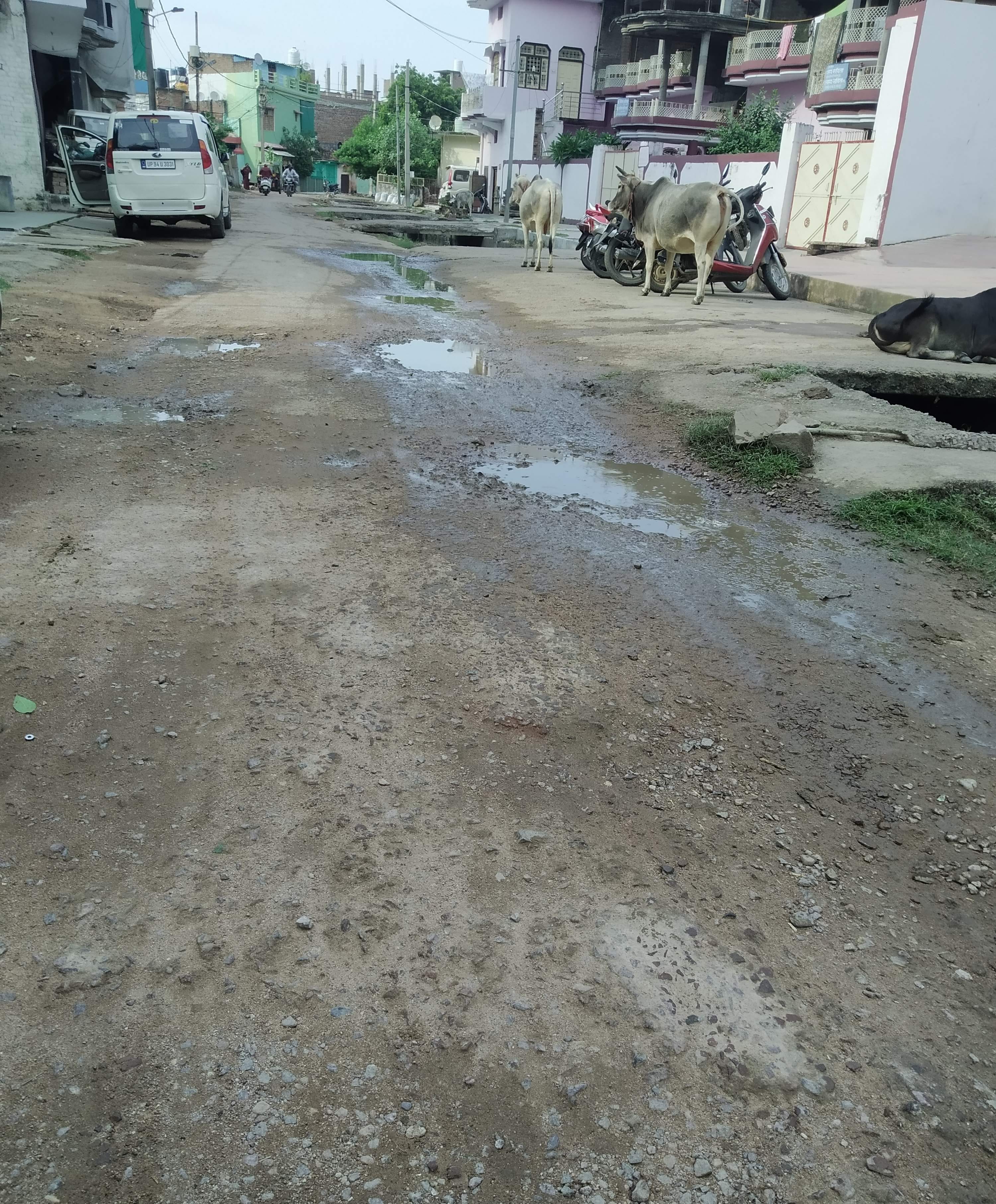 नहर किनारे रोड पर गड्ढों में भरा पानी