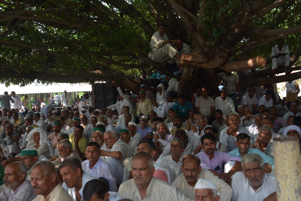 सिसौली में आयोजित श्रद्धांजलि सभा के दौरान पेड़ पर बैठे लोग। सिसौली में आयोजित श्रद्धांजलि सभा के दौरान पेड़ पर बैठे लोग।