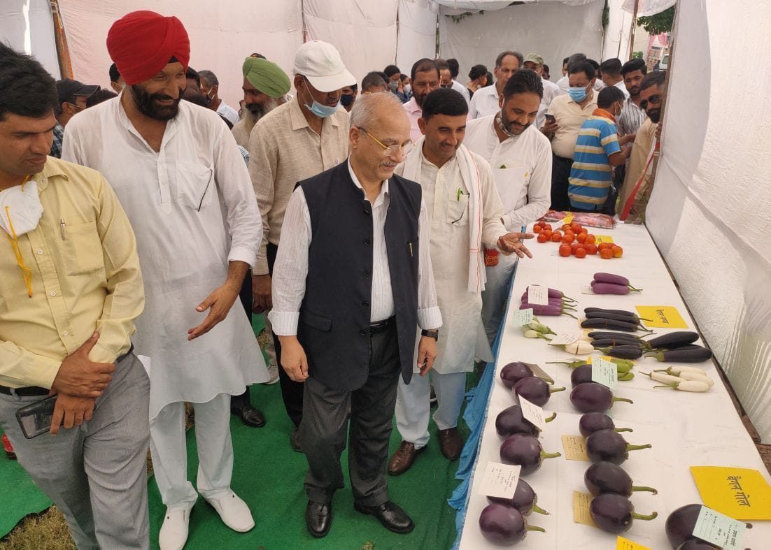 पंतनगर किसान मेले में उद्यान प्रदर्शनी का अवलोकन करते अतिथि और कुलपति। पंतनगर किसान मेले में उद्यान प्रदर्शनी का अवलोकन करते अतिथि और कुलपति।