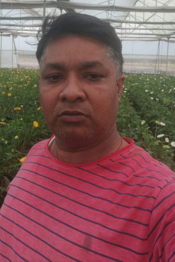 अश्विनी सैनी