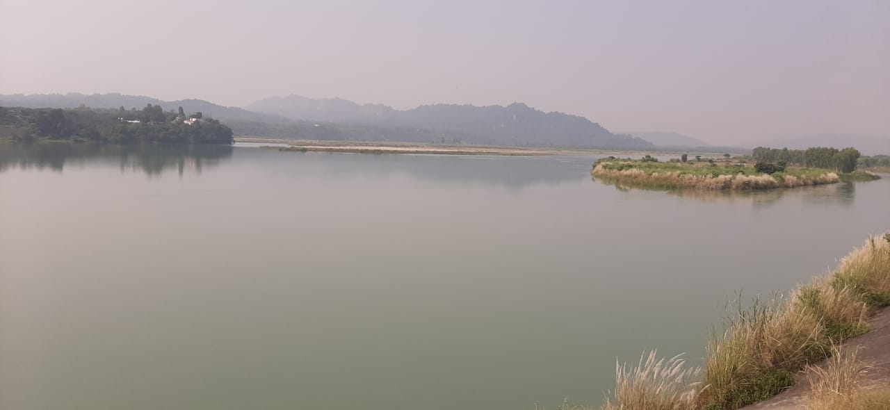 हथनीकुंड बैराज की इसी झील में अठखेलियां करते है विदेशी मेहमान हथनीकुंड बैराज की इसी झील में अठखेलियां करते है विदेशी मेहमान