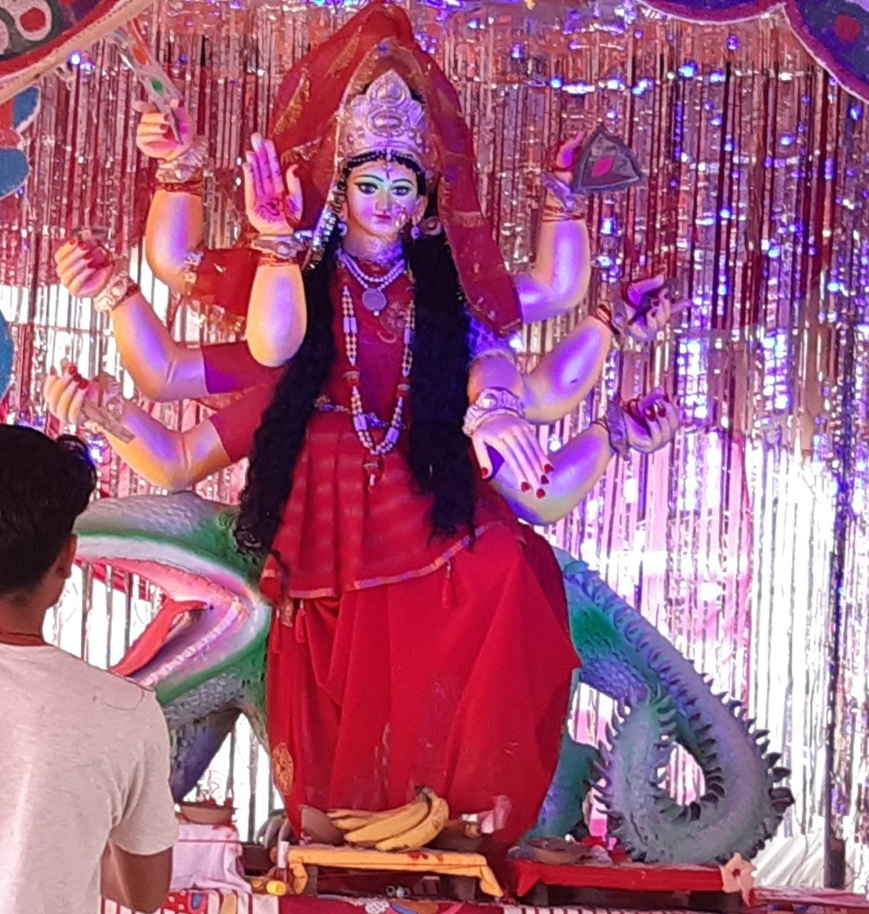 पंडाल में विराजीं मां भवानी। पंडाल में विराजीं मां भवानी।