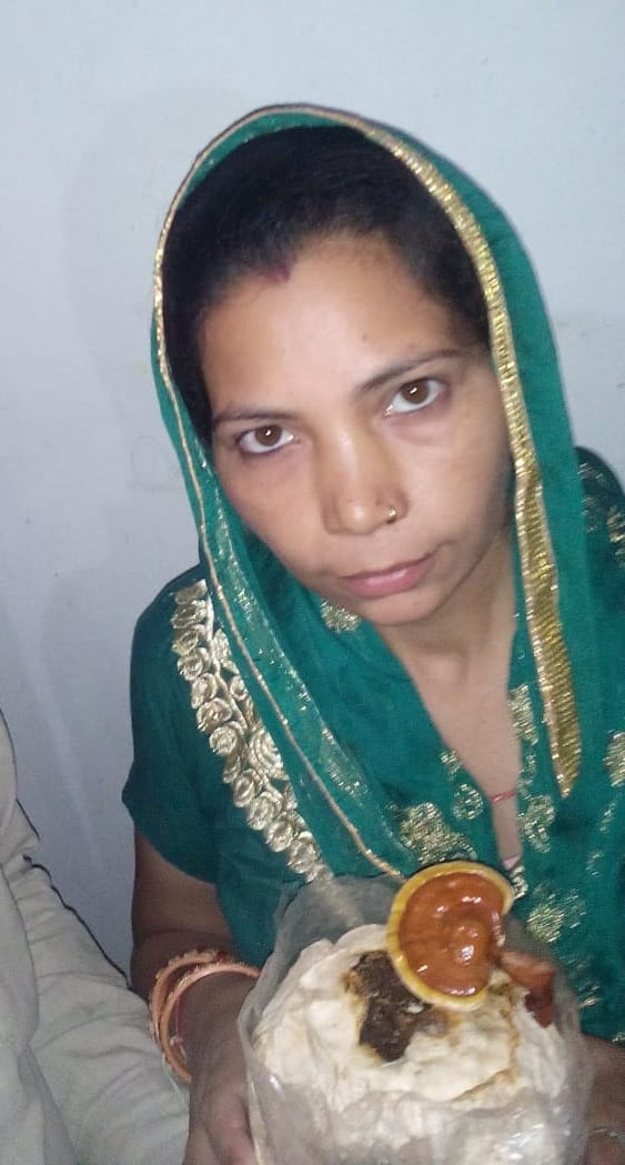 मशरुम के साथ पूजा