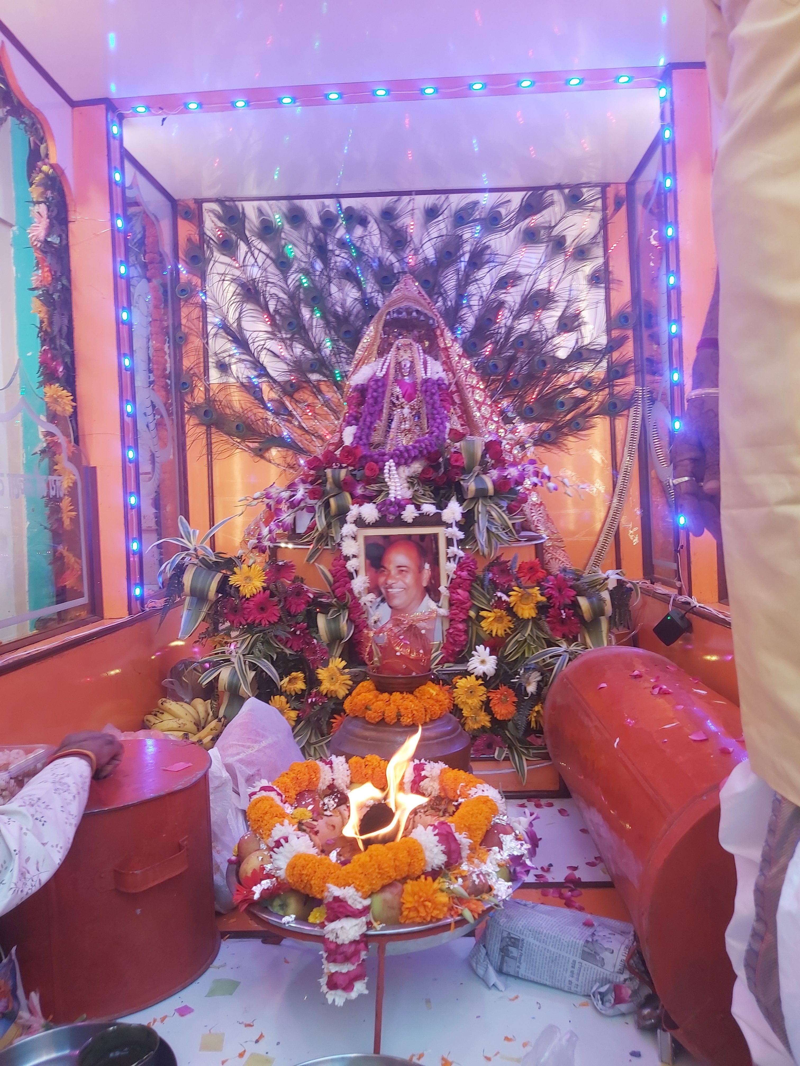 डोले में विराजमान मां मनसा देवी। डोले में विराजमान मां मनसा देवी।