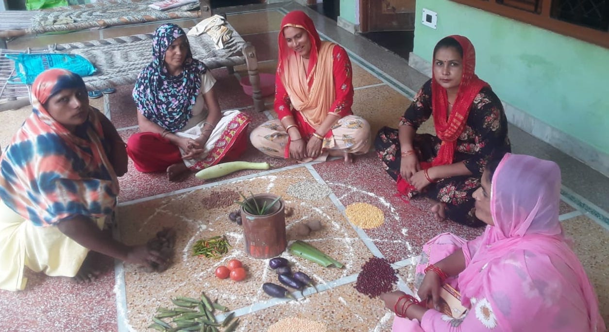 शामली के गांव मंटी हसनपुर में पोषण वाटिका के बारे में जानकारी देती महिला समहू की सदस्य शामली के गांव मंटी हसनपुर में पोषण वाटिका के बारे में जानकारी देती महिला समहू की सदस्य
