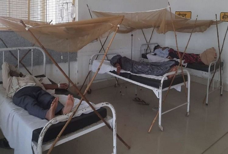 11 Lebih Banyak Pasien Demam Berdarah Ditemukan di Gorakhpur