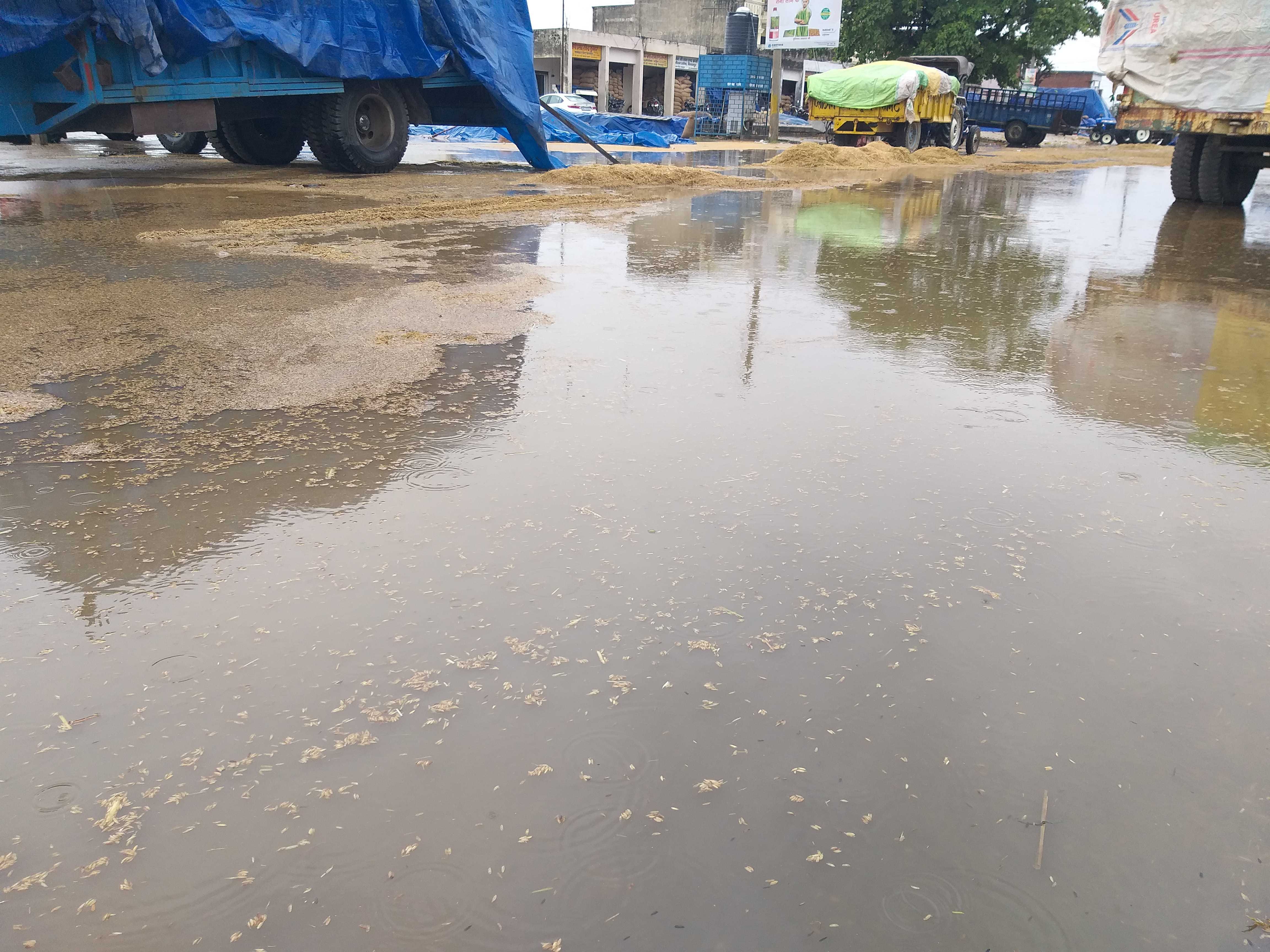 बारिश के बाद अनाजमंडी में जमा पानी।   संवाद