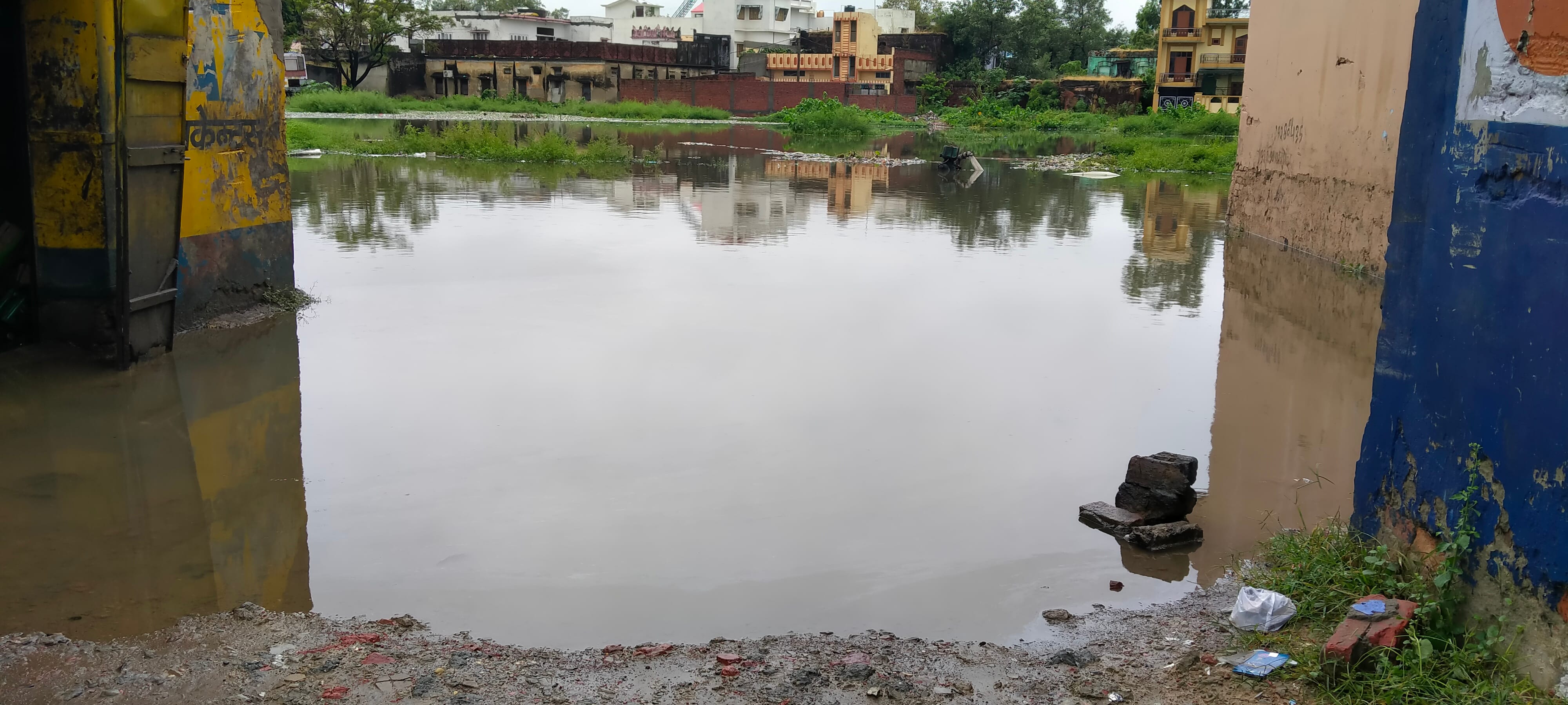 धामपुर में पुराने बस अडडे के पास स्थित तालाब में भरा बरसाती पानी