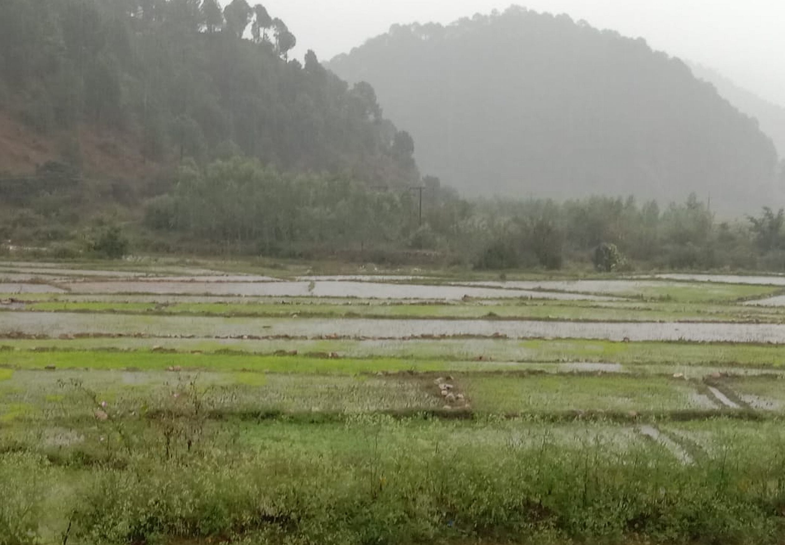 सोमेश्वर घाटी में खेतों में जमा बरसाती पानी। (संवाद) सोमेश्वर घाटी में खेतों में जमा बरसाती पानी। (संवाद)