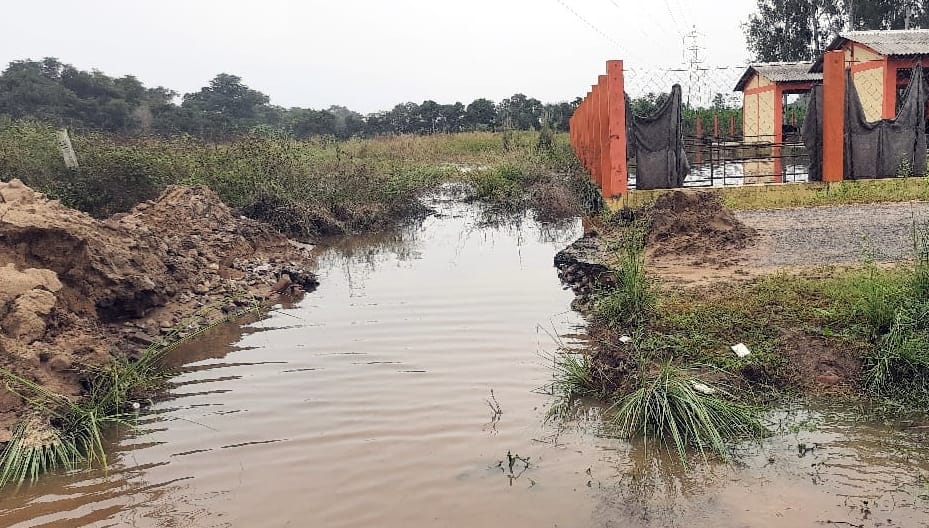 अफजलगढ़ के गांव अगवानपुर स्थित गौशाला में भरे बारिश के पानी को निकालने के लिए तोड़ी गई सड़क।