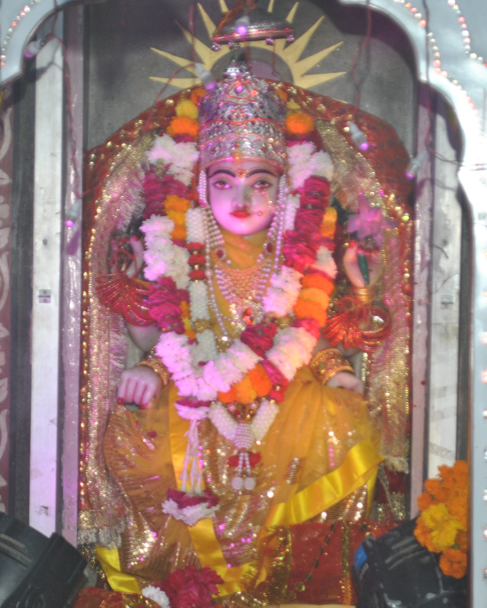 शामली राजो मोहल्ला में मंदिर में सजा दरबार। 
