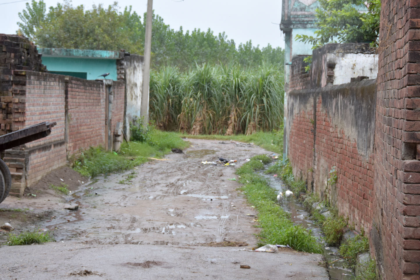टपरी कलां का कच्चा मार्ग।