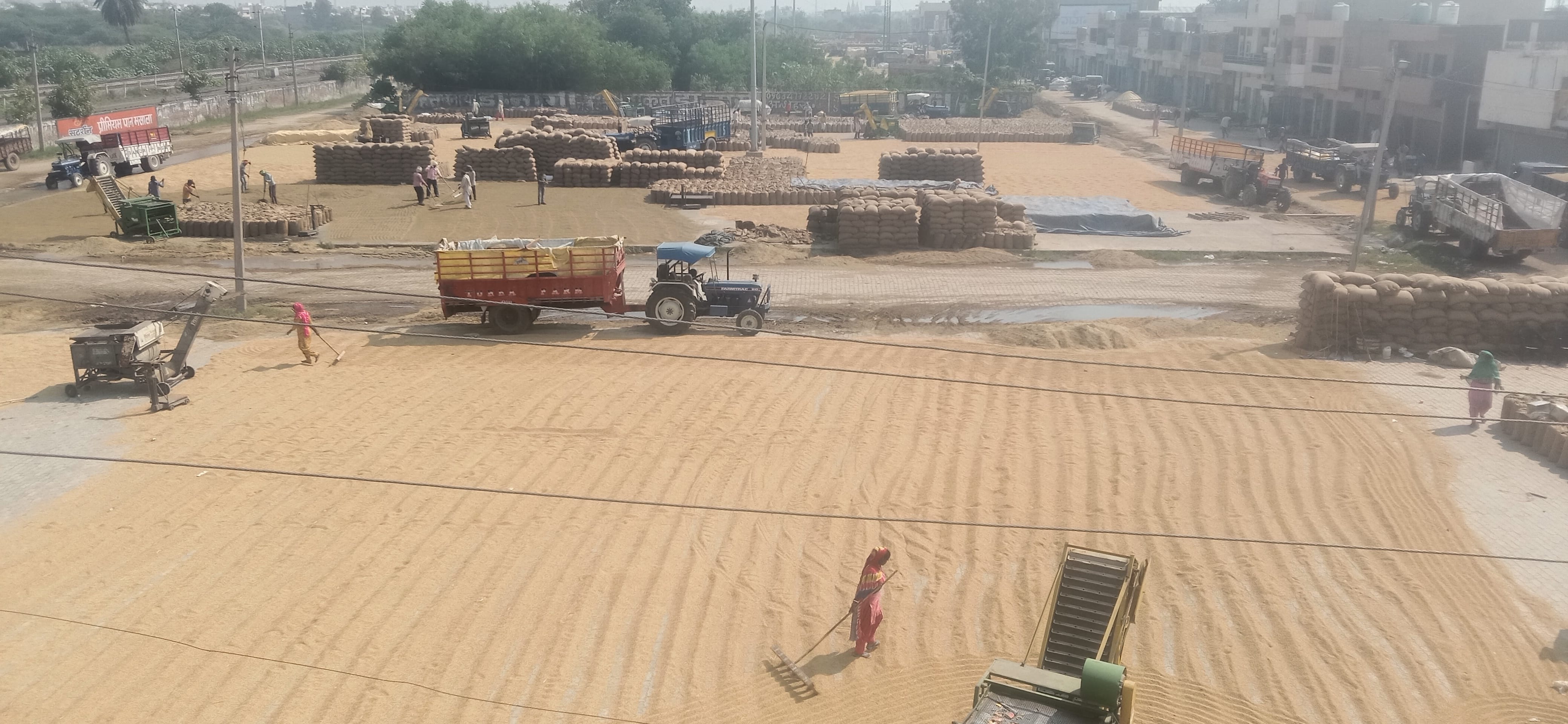 शहर की अनाज मंडी का दृश्य।