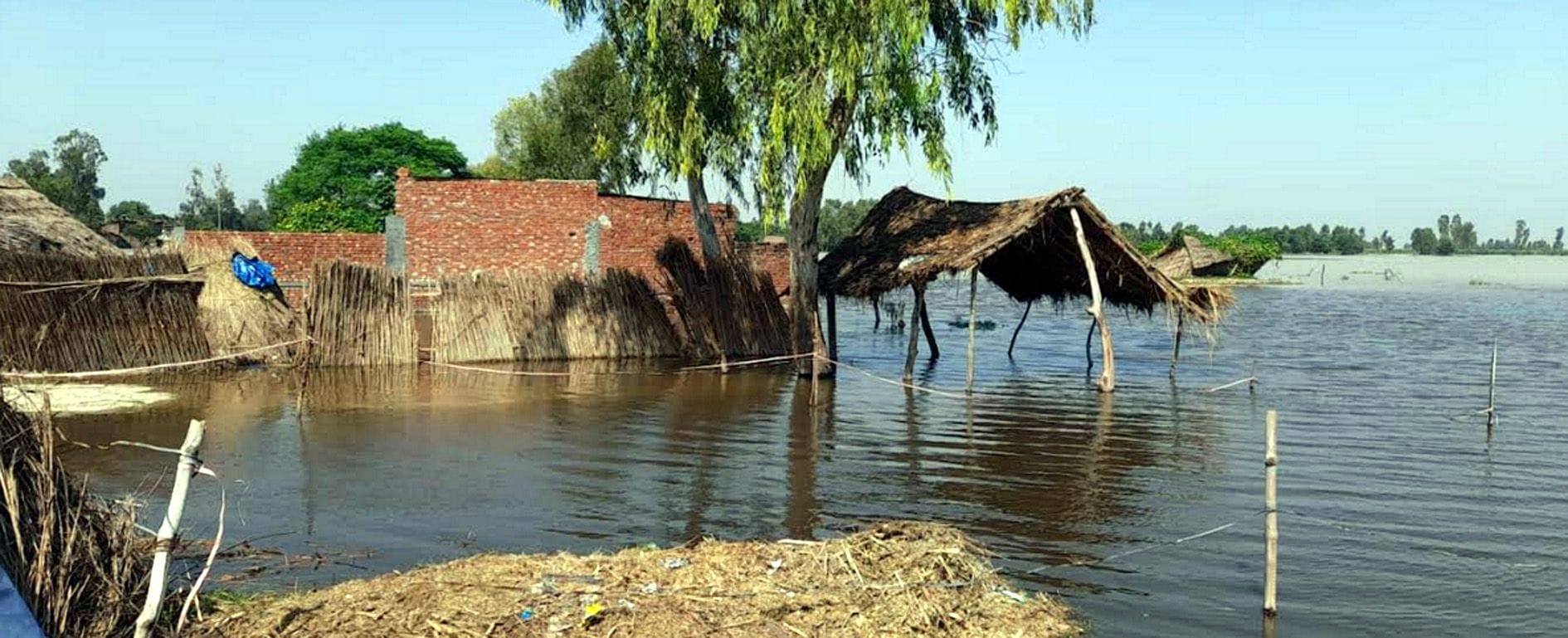किसौल में आबादी तक पहुंचा बाढ़ का पानी किसौल में आबादी तक पहुंचा बाढ़ का पानी