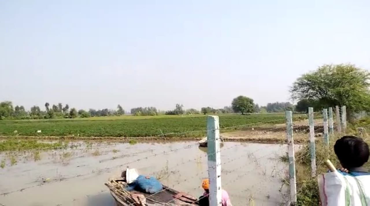 बांगरमऊ में बाढ़ से जलमग्न हुई फसल। संवाद बांगरमऊ में बाढ़ से जलमग्न हुई फसल। संवाद